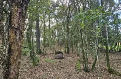 Terreno à venda no Centro, Balsa Nova 