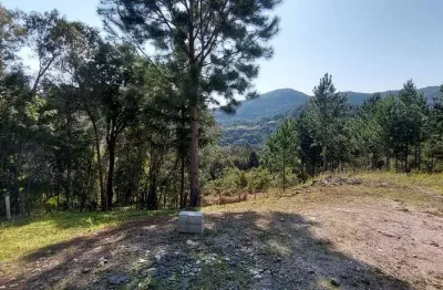 Chácara / sítio com 1 quarto à venda no Felpudo, Campo Largo 