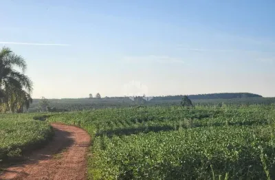 Fazenda à venda na Rodovia BR 290, 5600, Parque Guaíba, Eldorado do Sul