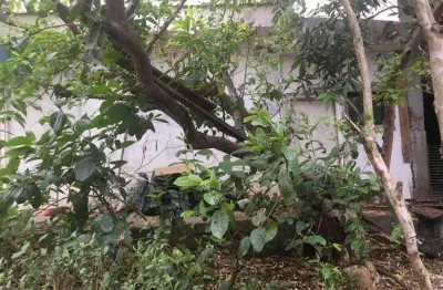 Terreno à venda na Rua Bernardino da Costa, Jardim Novo Carrão, São Paulo