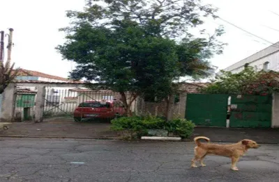 Terreno à venda na Rua Coronel João De Oliveira Melo, Vila Antonieta, São Paulo