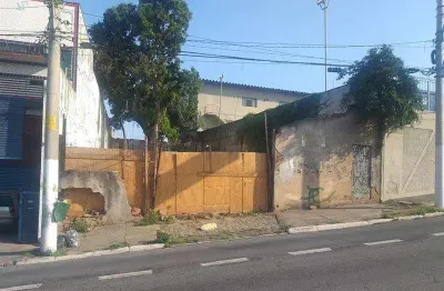Terreno à venda na Avenida São Miguel, Vila Rio Branco, São Paulo