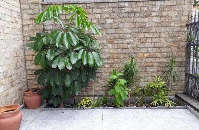 Casa com 4 quartos à venda na Rua Francisco Zicardi, Jardim Anália Franco, São Paulo