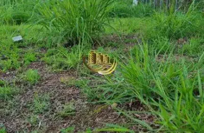 Terreno à venda na Loteamento Brasil, Picadas do Sul, São José