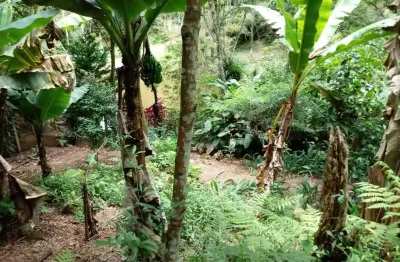 Terreno, suzano, baixo custo - r$ 180 mil, cod: 6312