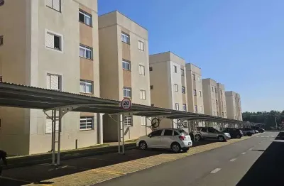Apartamento : Padrão / Residencial / Dom Pedro II / Zona Norte