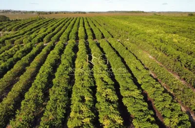 Fazenda à venda no Centro, Santa Luzia 