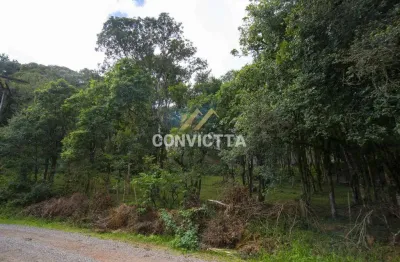 Terreno à venda no Jardim Eldorado, Caxias do Sul 