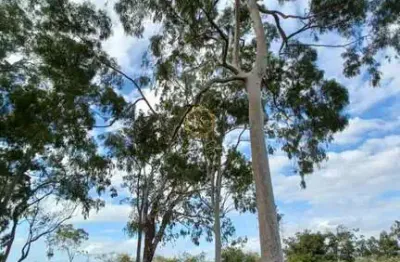 Chácara / sítio com 2 quartos à venda na Br 386, 424, Porto da Figueira, Nova Santa Rita