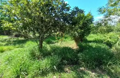 Terreno à venda na Estrada Porto Da Farinha, 1635, Caju, Nova Santa Rita