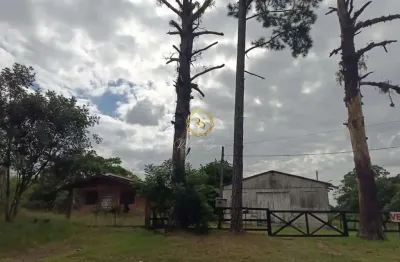 Chácara / sítio com 3 quartos à venda na Av. Passito, 535, Centro, Nova Santa Rita