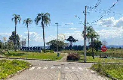 Terreno à venda na Rua Violeta(f) Quadra G, Lote 11, Centro, Nova Santa Rita