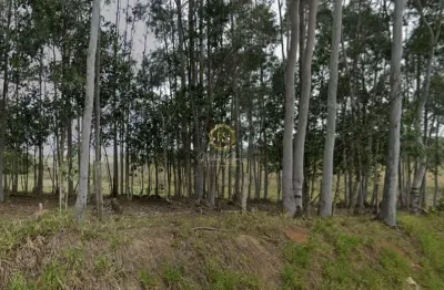 Chácara à venda no bairro socorro em portão: confira essa oportunidade!
