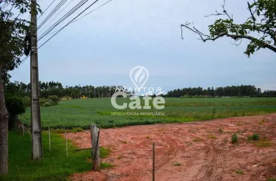Terreno à venda na Rodovia Br-158 De Br 392 À Br 287, 2503, Cerrito, Santa Maria