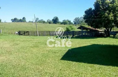 Chácara / sítio com 2 quartos à venda na Rua Alcides F. Da Silva, 653, Riveira, São Pedro do Sul