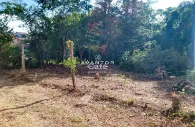 Terreno à venda na Rua Domingues Bertazzo, SN, Chácara das Flores, Santa Maria
