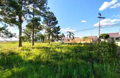 Terreno à venda na Rua Engenheiro Adi João Forgiarini, SN, Pinheiro Machado, Santa Maria