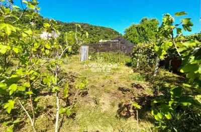 Terreno, 13x28m², nossa senhora do perpétuo socorro