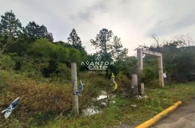 Terreno à venda na Rua João Pereira Henrique, SN, Cerrito, Santa Maria