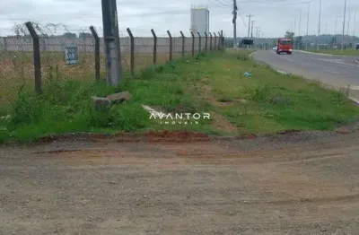 Excelente oportunidade para locação terreno plano em frente a br 392 medindo 30x