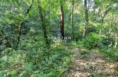 Terreno à venda na Estrada Municipal Rincão Limeira, S N, Zona Rural, Itaara
