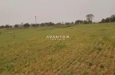 Fazenda à venda na região Noroeste, 340 hectares,  200 já cultivados com soja