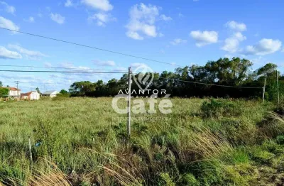 Terreno à venda na Rodovia BR-158, 700, Pinheiro Machado, Santa Maria