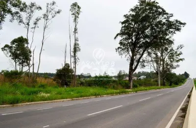 Terreno à venda na Rodovia RST-509, S N, Pé de Plátano, Santa Maria