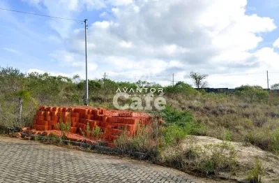 Terreno à venda na Alameda Di Capri, 310, Camobi, Santa Maria