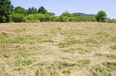 Terreno à venda na Avenida Primeira, 220, Diácono João Luiz Pozzobon, Santa Maria