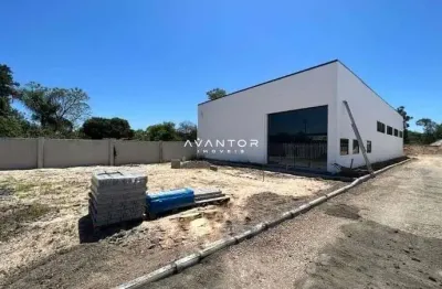 Pavilhão amplo de 450 m² com 2 banheiros e estacionamento na br 392 para alugar.