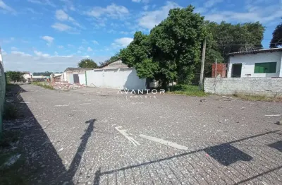 Terreno comercial para alugar na Rodovia BR-287, 900, Pinheiro Machado, Santa Maria