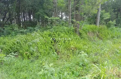 Amplo terreno a venda no bairro perpétuo socorro, 516 m²