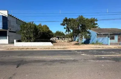 Excelente oportunidade! terreno 19x43 ótima localização em rua asfaltada