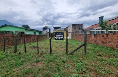 Terreno, 10x25, residencial lopes, pinheiro machado