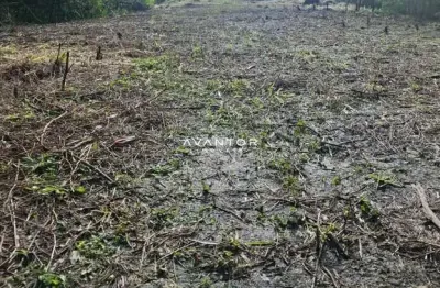 Terreno à venda na Rodovia BR-287, 00, Cerrito, Santa Maria