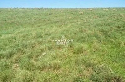 Chácara / sítio à venda na Rua Principal, S N, Centro, Santiago