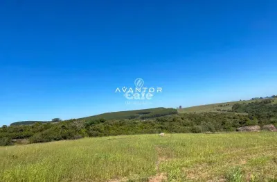 Excelente oportunidade!! Área própria para pecuária já com pastagem tendo água e