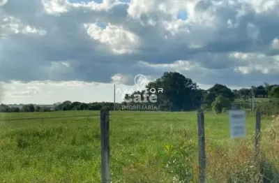 Chácara / sítio à venda na Estrada Perau Velho, S N, Zona Rural, São Martinho da Serra