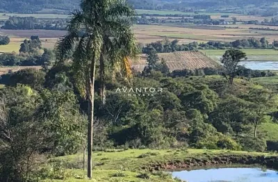 Chácara / sítio à venda na Rs 348, 00, Zona Rural, Dona Francisca