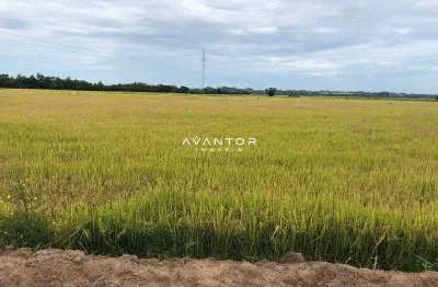Chácara / sítio à venda na Estrada Municipal, 00, Área Rural de Rio Pardo, Rio Pardo
