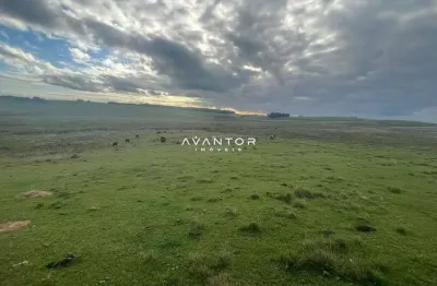 Chácara / sítio à venda na Rua Coronel Soares, s n, Área Rural de São Gabriel, São Gabriel