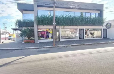Salas/conjuntos para aluguel no bairro parque cesarino borba