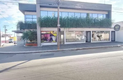 Salas/conjuntos para aluguel no bairro parque cesarino borba