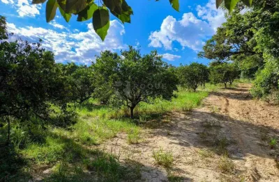 Terreno à venda no Bairro dos Pires, Limeira 