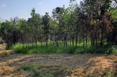 Chácara / sítio à venda na Área Rural de Limeira, Limeira 