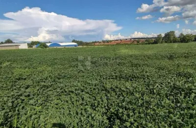 Área a venda em limeira, com ótima topografia e 45 mil metros