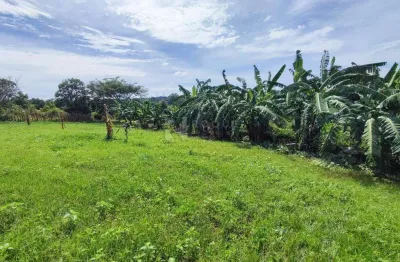 Sítio à venda – excelente localização | acesso fácil | terra produtiva | 100% independente