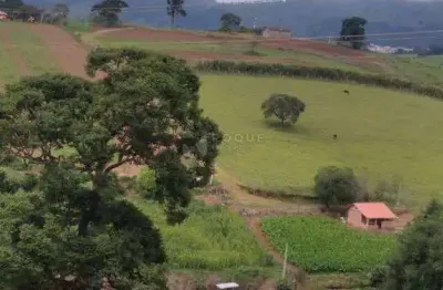Chácara / sítio com 3 quartos à venda na Zona Rural, Caldas 