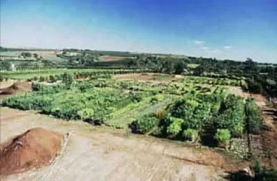 Chácara / sítio à venda no Bairro do Pinhal, Limeira 